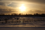 Akranes cemetary