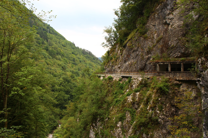 Les gorges de Tolmin